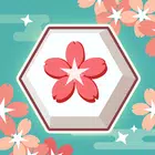 Hexa Matching Puzzle