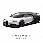 Tamaev Drive