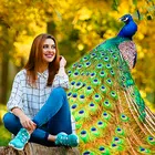 Peacock Photo Frames