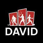 David Мастер Спортивный анализ