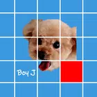 記憶拼圖 PetTu