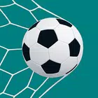 FalseBet