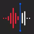 Recorder AI:Голос&Встреча