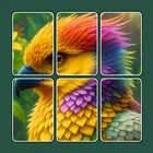 Cardscapes