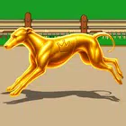 Dog Racing