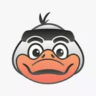 Robox Duck